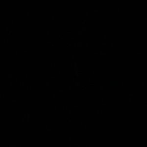 Meet your Posher, Laurie